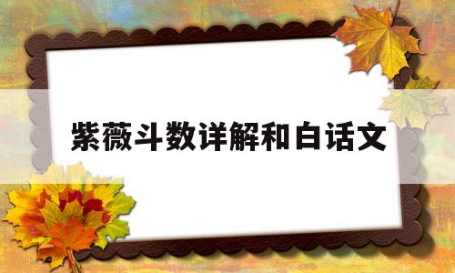紫薇斗数详解和白话文