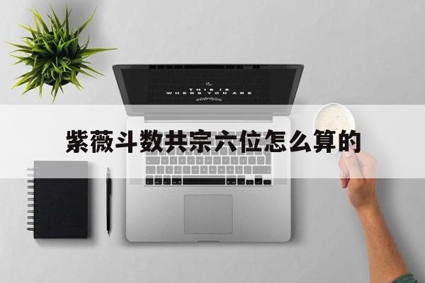 紫薇斗数一六共宗位是什么意思