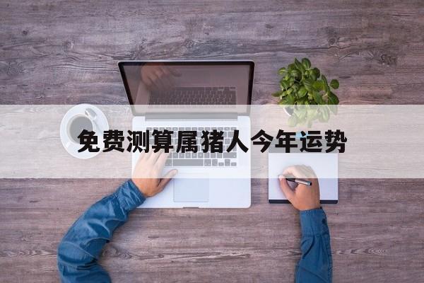 属猪的今年运势和财运免费