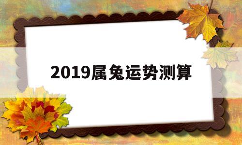 属兔的人2019年的运势及运程