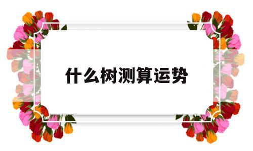 什么树测算运势好