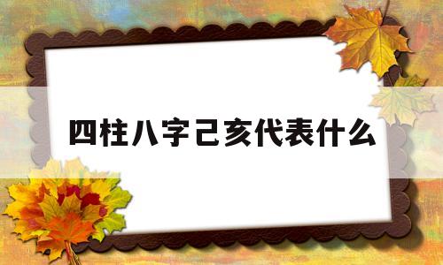 八字己亥是什么意思