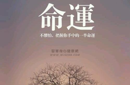 午午自刑见丙火八字命不好怎么办