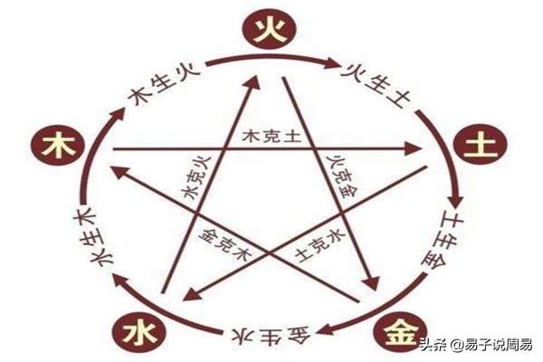 地支相破-生肖鸡最喜欢什么人