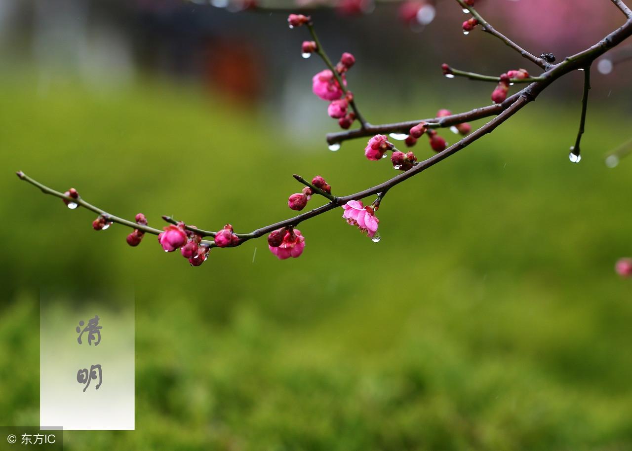 聚宝盆能不能聚集阳气 如何增加阳气-你听说过或经历过迷信故事吗