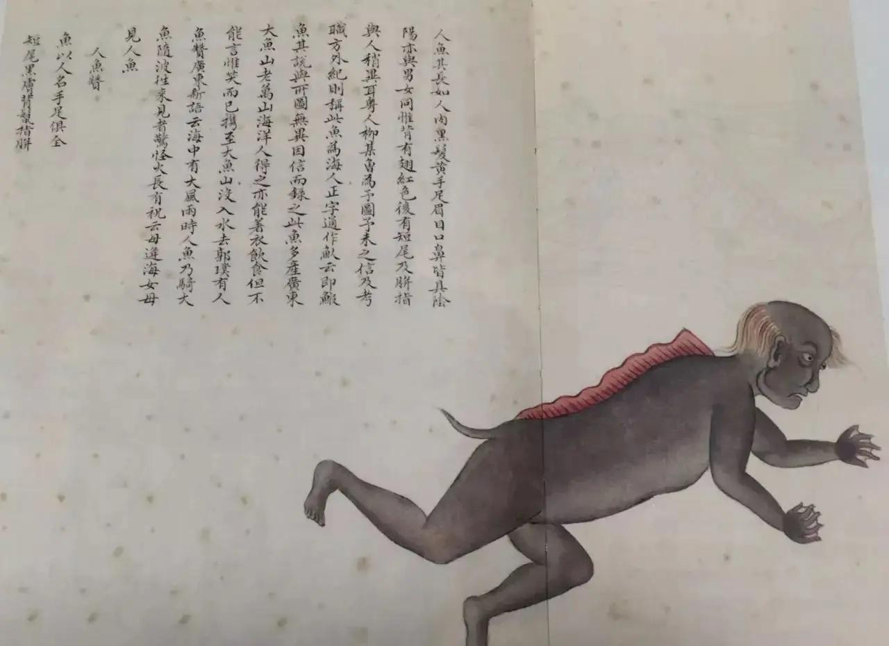 儒艮怎么读-名侦探柯南中服部与和叶差点掉落悬崖的是哪一集