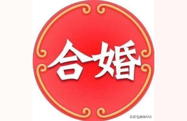 巳亥相冲最简单的化解方法十二地支详解
