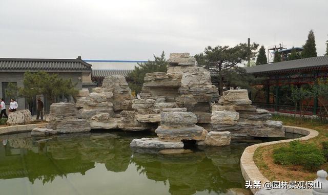 庭院植物怎么摆放可以招财-四大镇宅盆景