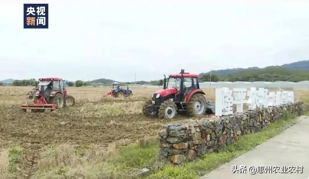 2022年姓邬的男虎宝宝取名 智慧起名大全-邬贺铨的十问边缘计算都问了什么