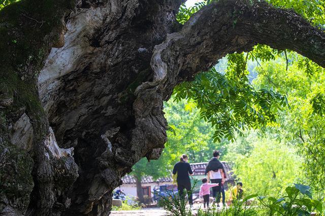 怎么样风水事业才能顺 借四方风八方情-居住屋对门开草纸店生意