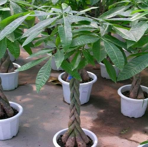 喜迁新居却财运不佳该如何破解-把前面那套卖了来还贷