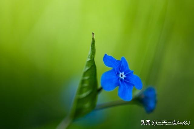 招财聚宝三大神器，助你财源广进-聚宝光能项目怎么玩
