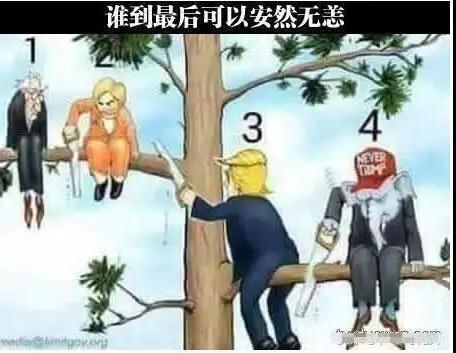 房东的猫 星座运势-有没有合租房时发生有意思的事