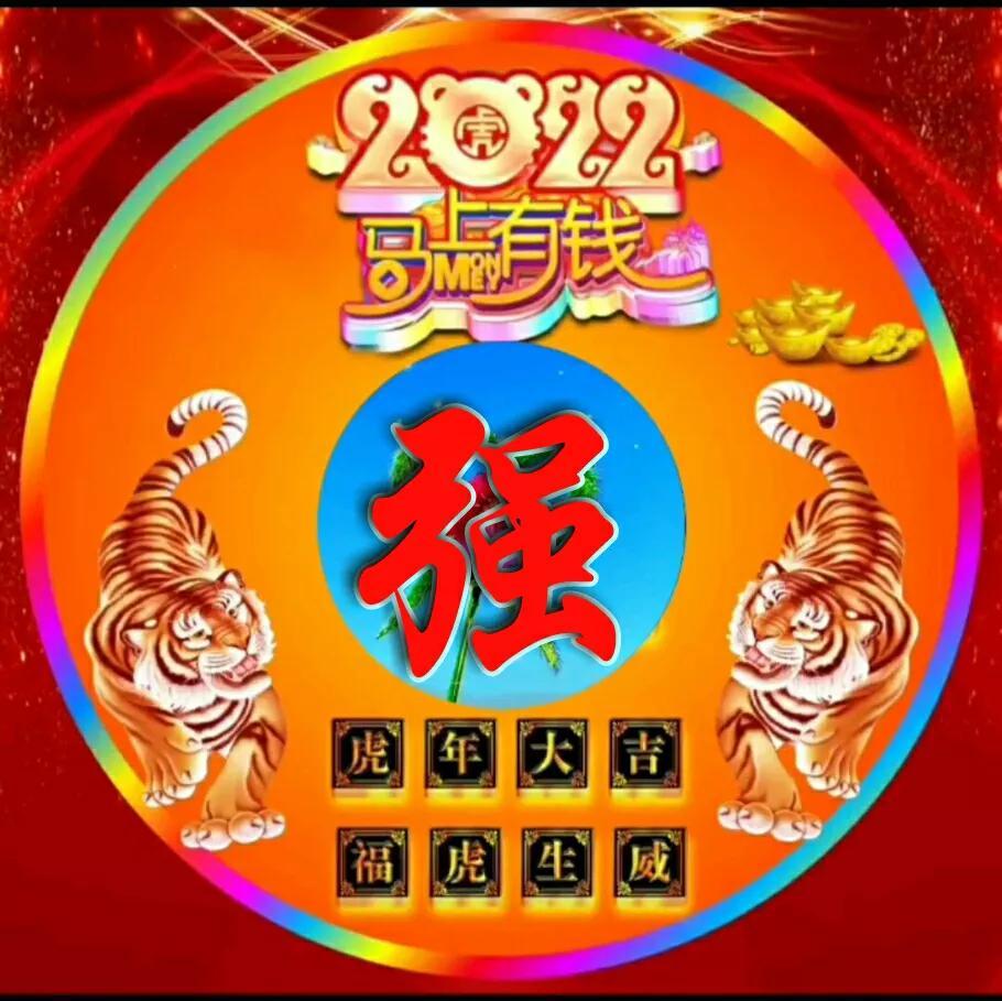2022虎年出生的时姓宝宝最佳取名推荐 优雅名字-2022虎年霸气名字