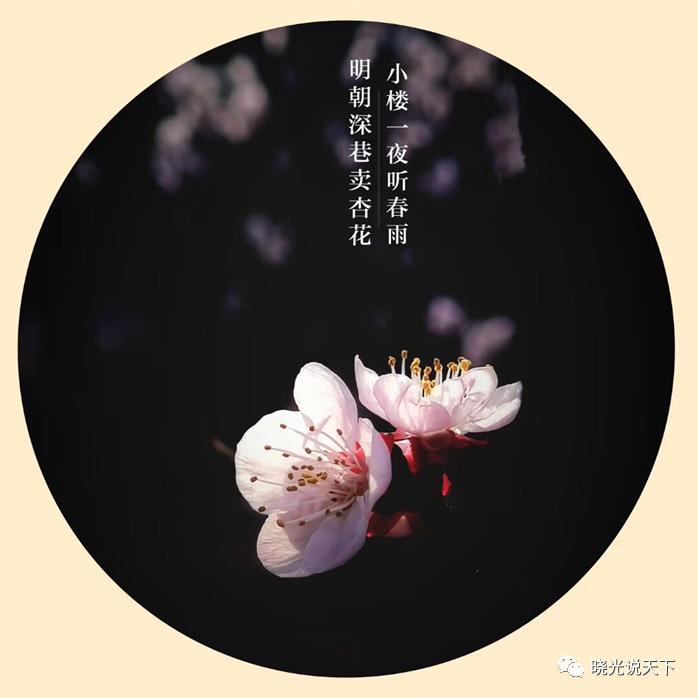 2022虎年姓翁的新生女宝宝名字要怎么取 全能名字大全-其实最会整人的生肖有哪些