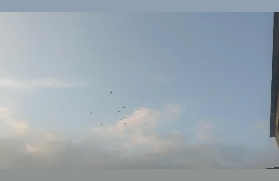 南宁算命先生-为什么算命先生非聋即瞎