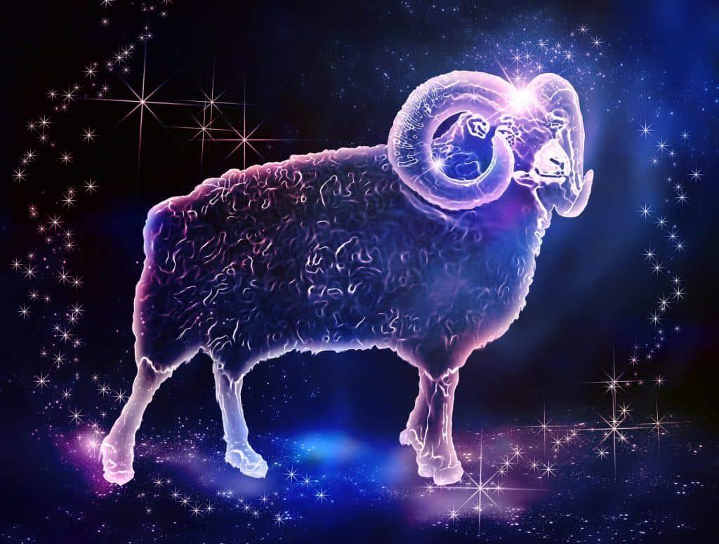 运势查什么星座的-云星座快应用是什么