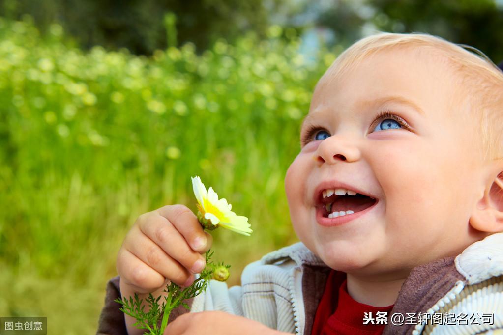 谊字的含义是什么 取名配个什么字-郭襄后期的武功属于什么水平