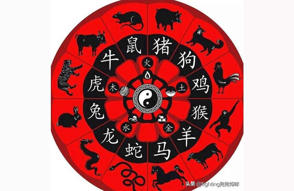 梧鼠之枝打一生肖鼯鼠之技什么生肖