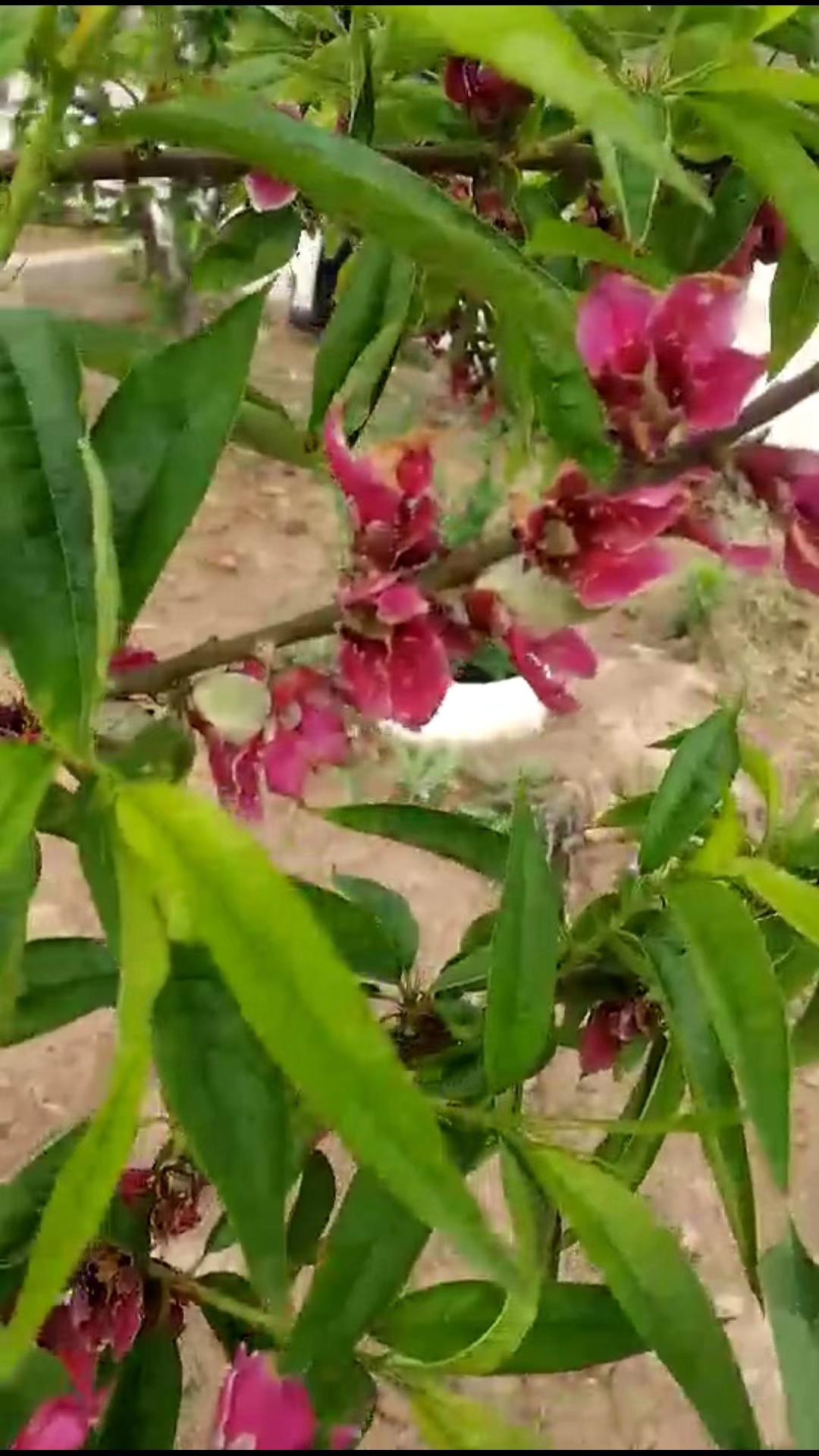 什么样的办公室风水让你正财偏财一起旺-但是月柱时柱和座下地支都是偏财