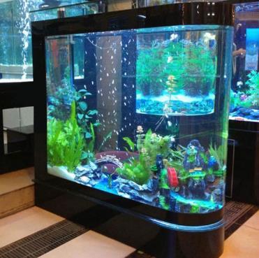 9个客厅招财的风水布局 摆放鱼缸可招财-鱼缸在农村客厅的最佳位置