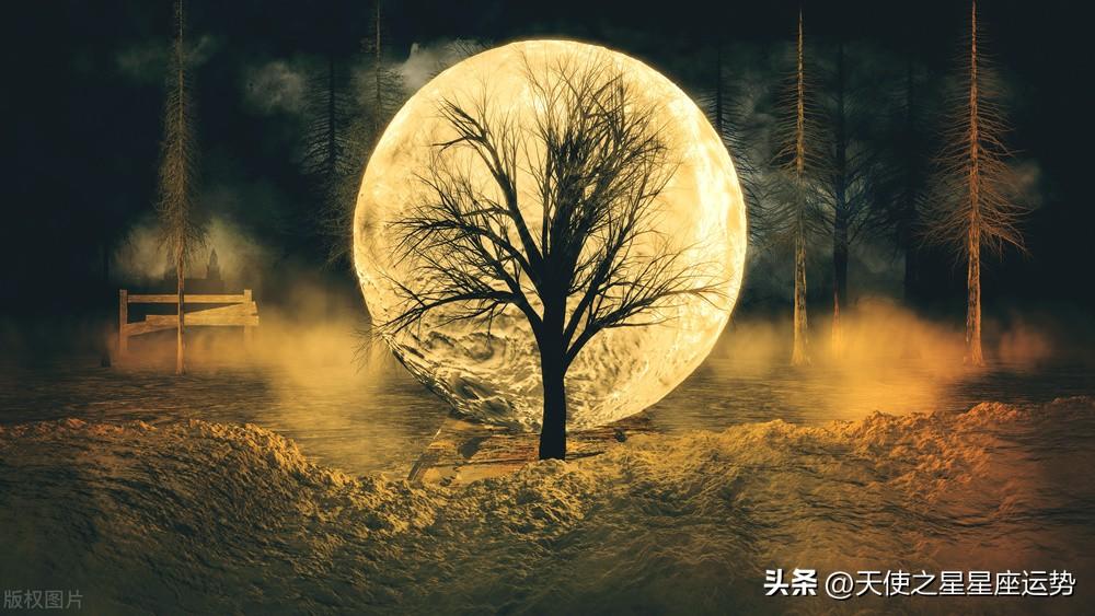 3月星座运势2022-2022年3月出生的宝宝属什么