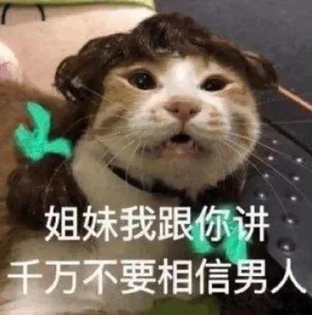 算命网站模板-哪个网站算命算得准