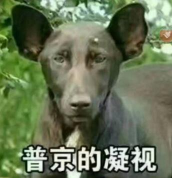 咋tm算命-麻衣神算子免费阅读有没有什么规律的啊