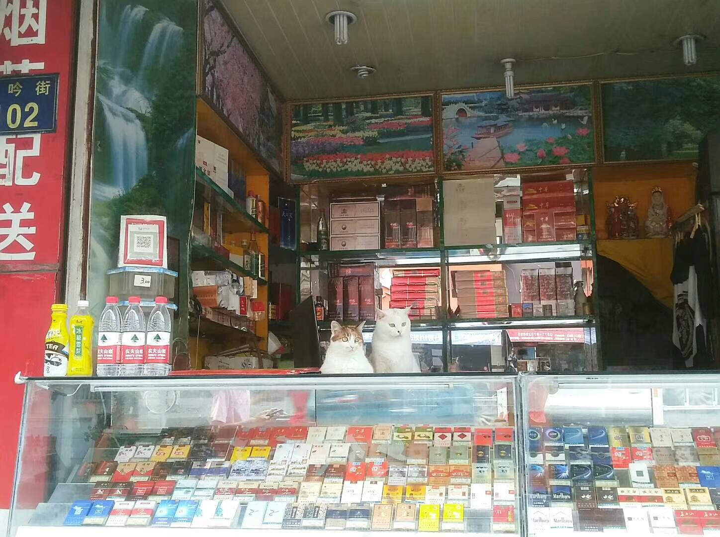 店里生意不好放什么招财 这些东西效果都很好-生意火爆经典句子