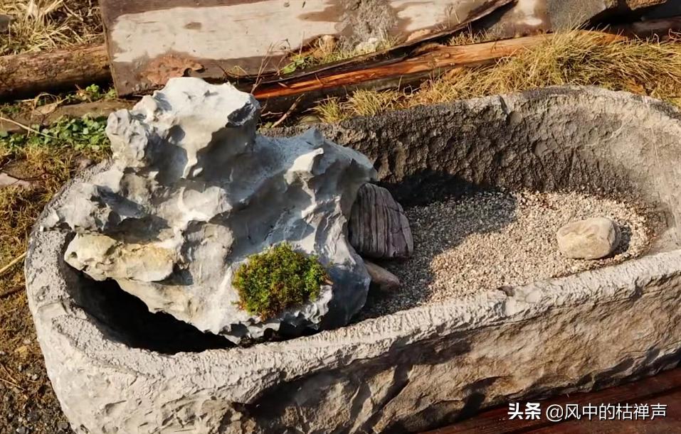 旺家的风水植物有哪些 水生可为招财宝物-小铜缸摆放家里什么位置