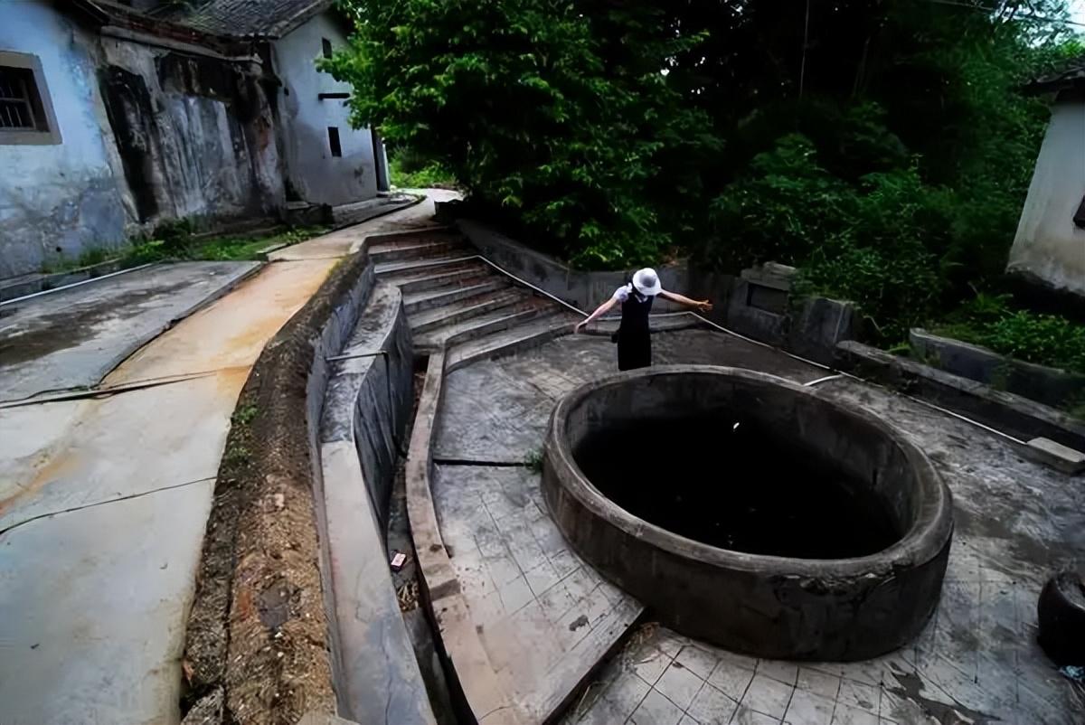 屋前种什么树最旺风水 门前栽什么树最好-门前种九里香好吗