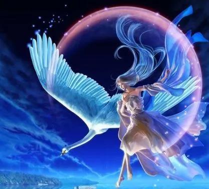 2022年星座周运势-十一月初十九是什么星座