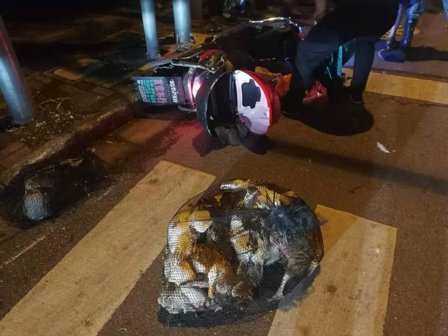 看见黄鼠狼过马路预兆是什么-今天晚上看见黄鼠狼过马路会有什么事