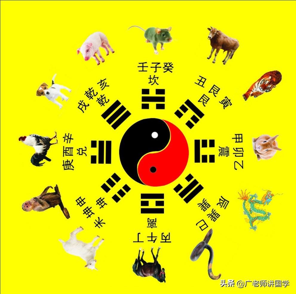 辰字适合取名吗 配什么字好-哪个晨宸辰用在男孩名字比较好