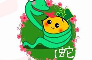 巳亥冲出什么讨论个八字