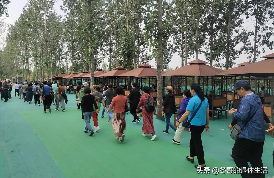 紫薇斗数 预测离婚求看紫微斗数盘婚姻情况