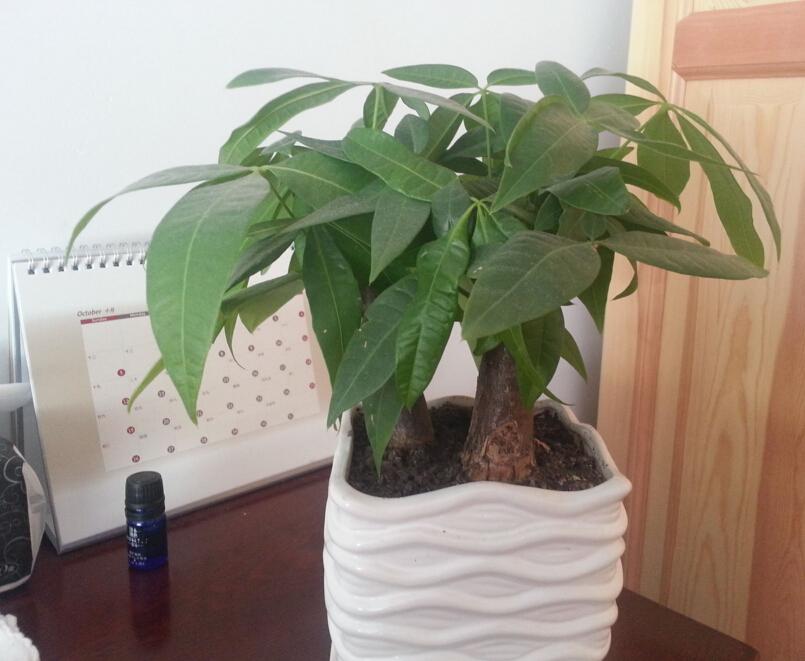 怎样转运让自己财运佳 查一下自己的财运如何-听说练气功可以改变运气