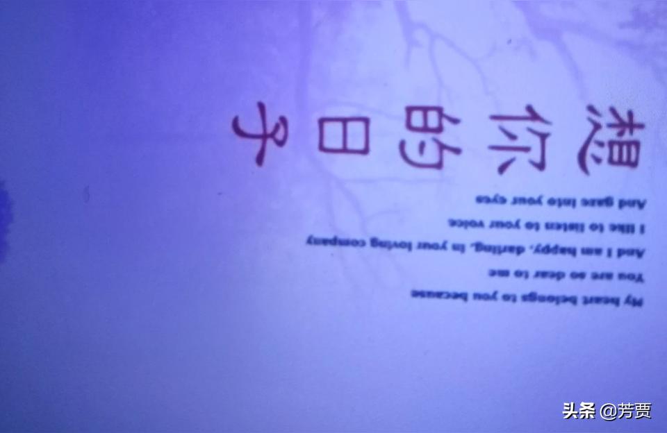 这个星期星座运势分析男生-11月11是什么座