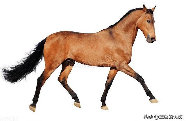 地支子午冲为何会富贵墓库逢冲这个词是什么意思