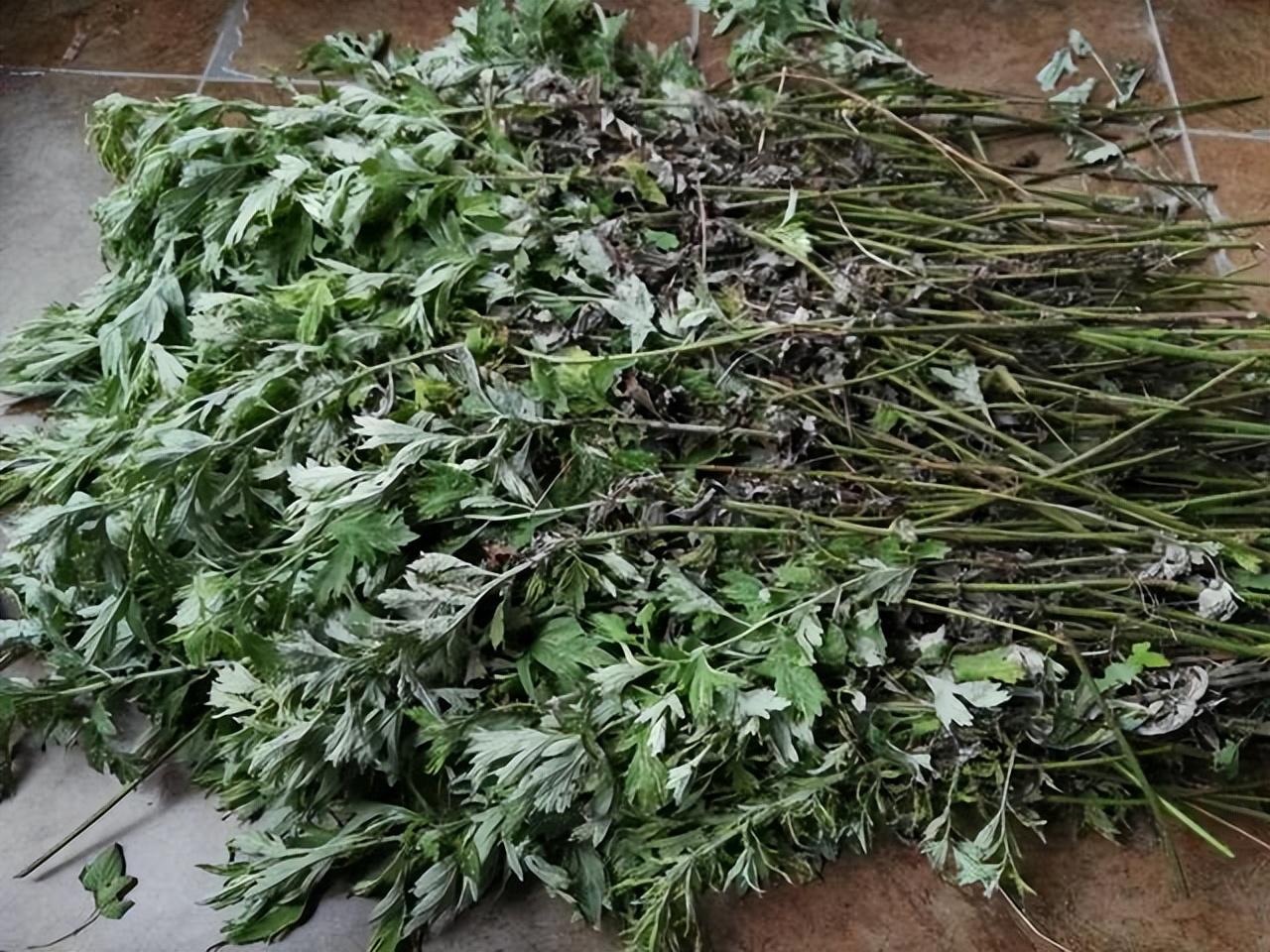 端午节南方辟邪的方式主要是什么-端午节你们那里系五彩绳吗