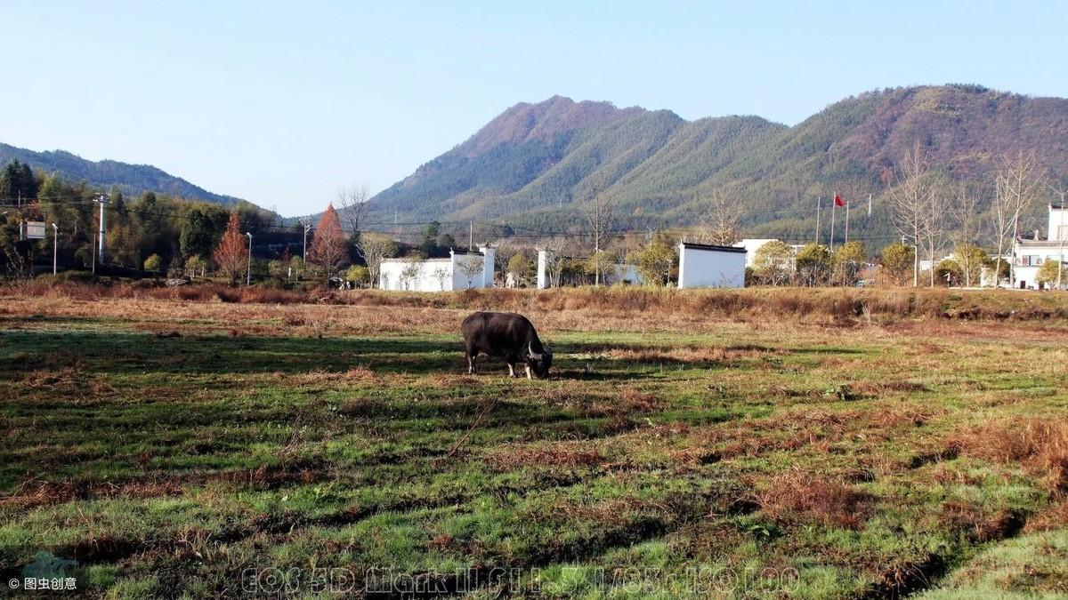 阳宅旺财布局是怎样的-五帝钱一般放在屋里什么位置