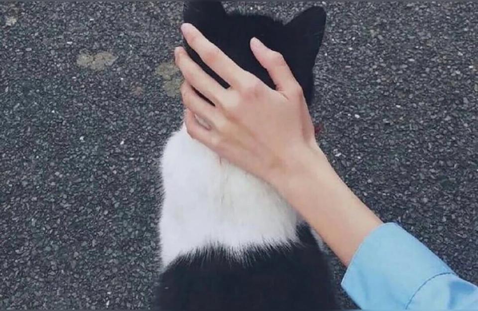 八字带子午冲的女人子午寅卯什么意思