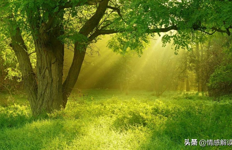 庚癸小姐-小姐繁体字