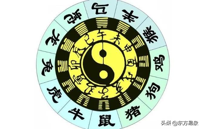 子午冲婚姻宫 单身-大起大落什么意思