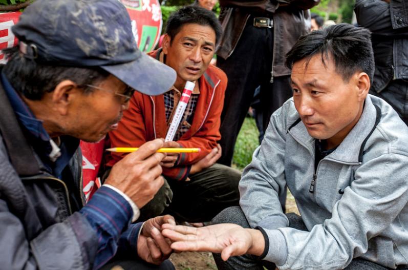 算命的说很少碰见上等婚姻-属相不合婚配可以吗