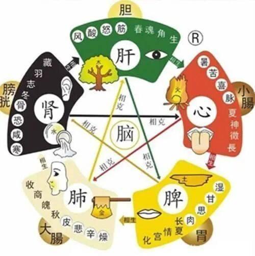 算命类书籍-卜卦算命的入门书籍