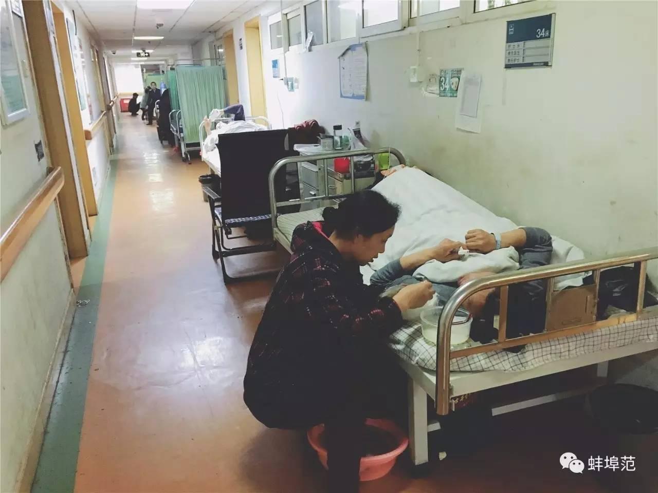 枕头下放什么 运气会很好-农村屋前屋后种植的野菊花可以用来做什么呢