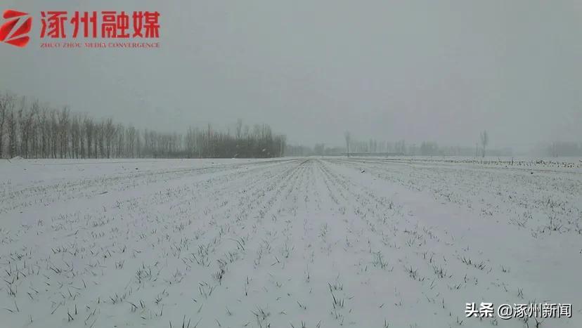 2022虎年出生的闻姓男孩最佳取名推荐 有文化起名大全-1638年是哪个朝代