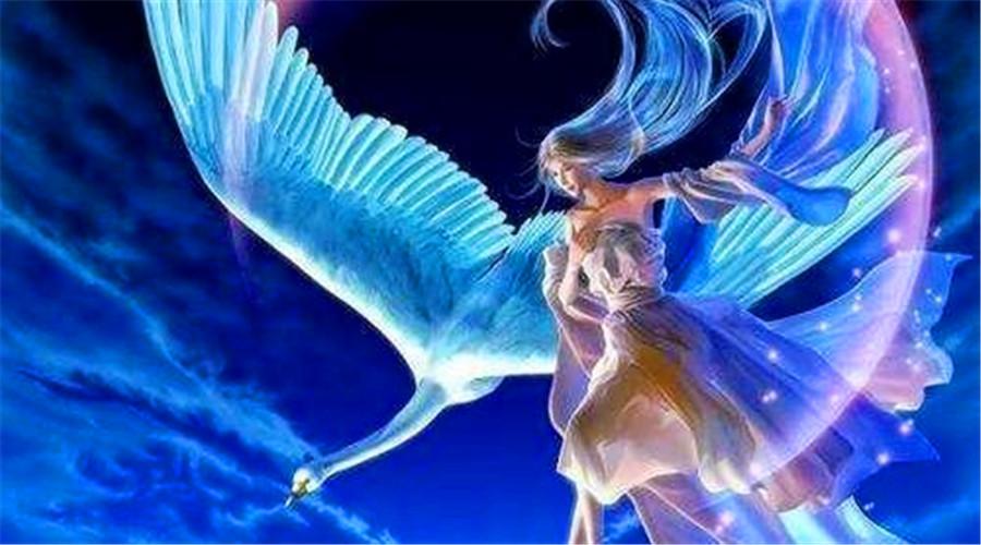 星座运势处女配金牛-金牛座和处女座能不能在一起