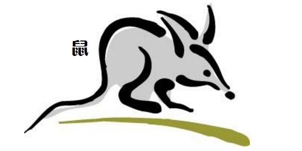 算命属鼠的今年财运-12生肖谁运气最好